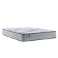 Performance - Zestar Tight Top Plush Mattress