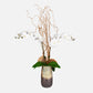 Earthbound Orchid - With Vase - Dark Brown