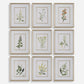 Botanical Flowers - Framed Prints (Set of 9)