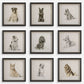 Loyal Companion - Framed Dog Prints (Set of 9)