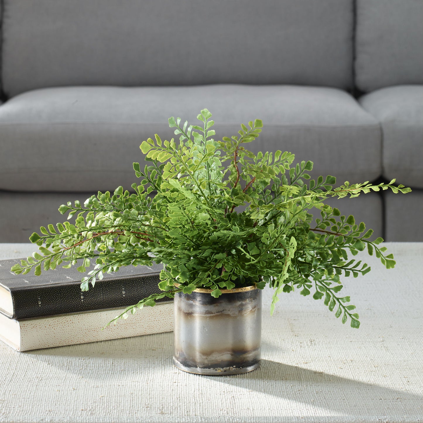 Maidenhair Fern - In Oxidized Container - Gray