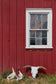 Skulls By Piddix (Framed) - Dark Red