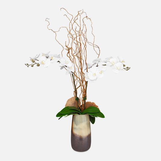 Earthbound Orchid - With Vase - Dark Brown