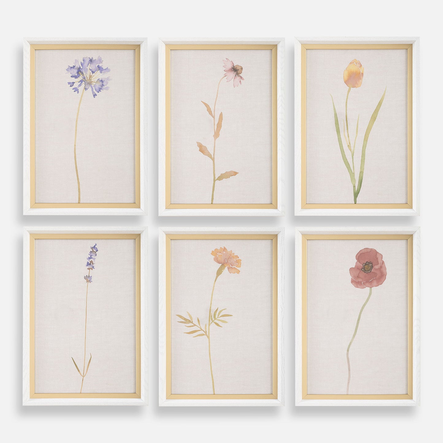 Wild Flourish - Framed Floral Prints (Set of 6) - Light Brown