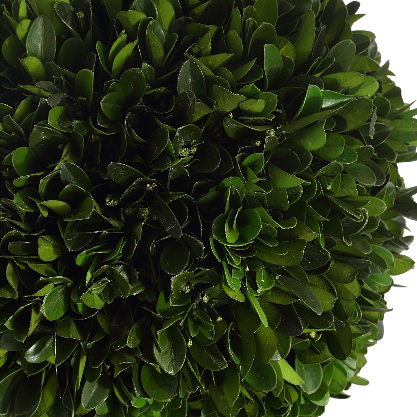 Preserved Boxwood - Triple Topiary - Green