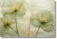 Temp Glass With Foil - Green Whispy Floral - Green