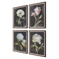 Florals On Black - Framed Prints (Set of 4) - Black