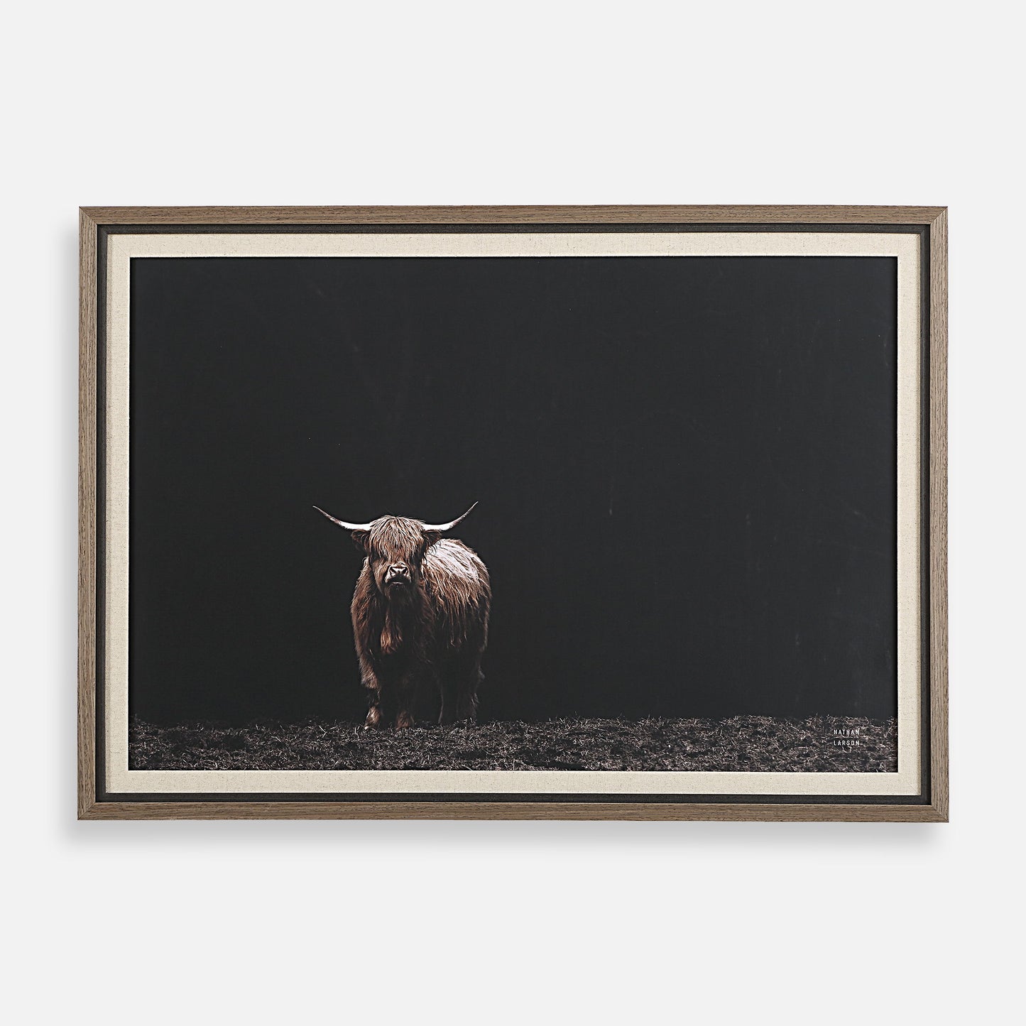 King Of The Hill - Framed Bovine Print - Black