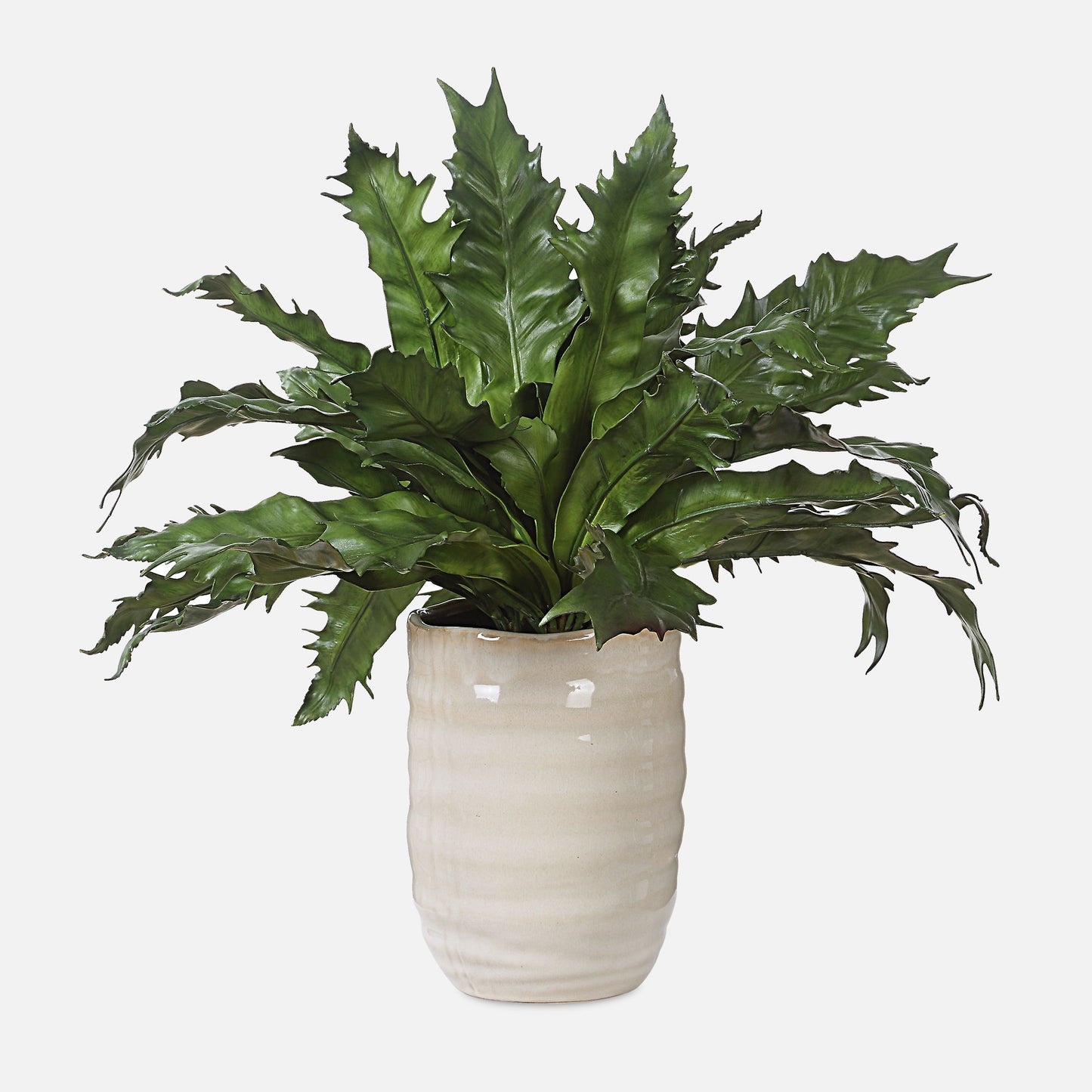 Verdure Fern - In Glazed Pot - White