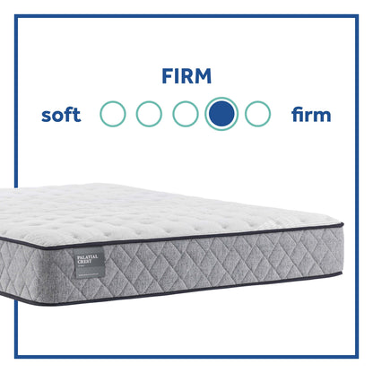 Value - Queens Guard Tight Top Firm Mattress