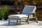 Visola - Gray - Chaise Lounge with Cushion