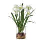 Lacey Daffodil - Accent Arrangement - White