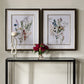 Delicate Flowers - Framed Prints (Set of 2)