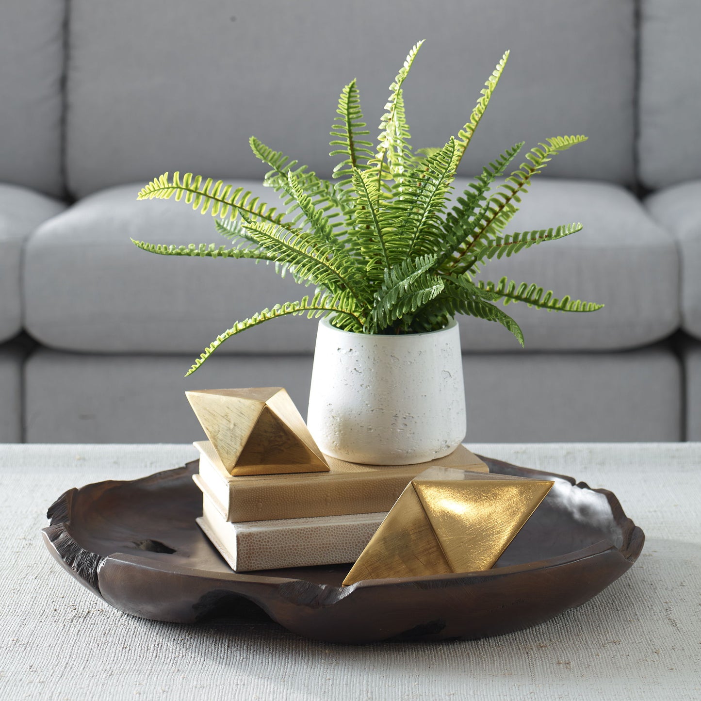 Boston Fern - In White Ceramic Pot - White