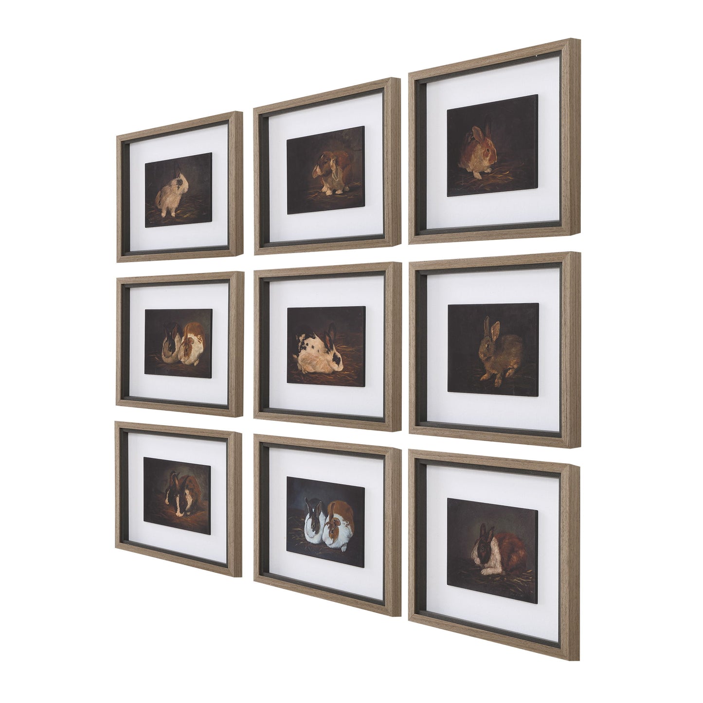 Resting Bunny - Framed Prints (Set of 9) - Dark Brown