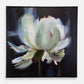 Peony - Framed Floral Art - Black