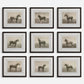 Equine Dynasty - Framed Prints (Set of 9)