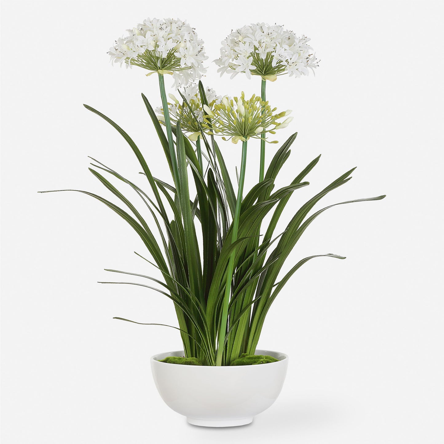 Purity Agapanthus - Centerpiece