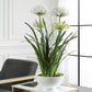 Purity Agapanthus - Centerpiece