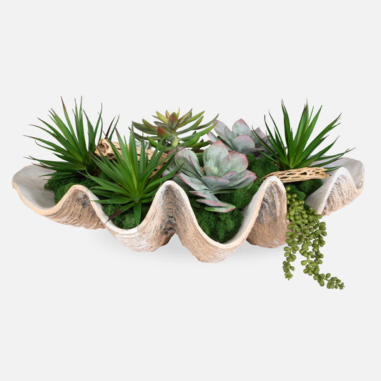 Seaside Breeze - Succulents - Light Brown