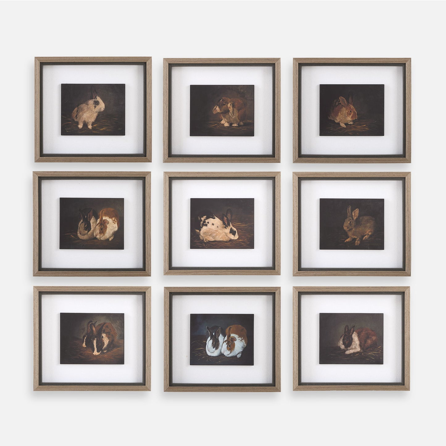 Resting Bunny - Framed Prints (Set of 9) - Dark Brown