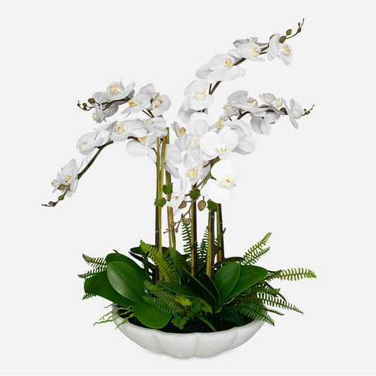 Flourish Orchid - Centerpiece - White