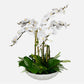 Flourish Orchid - Centerpiece - White