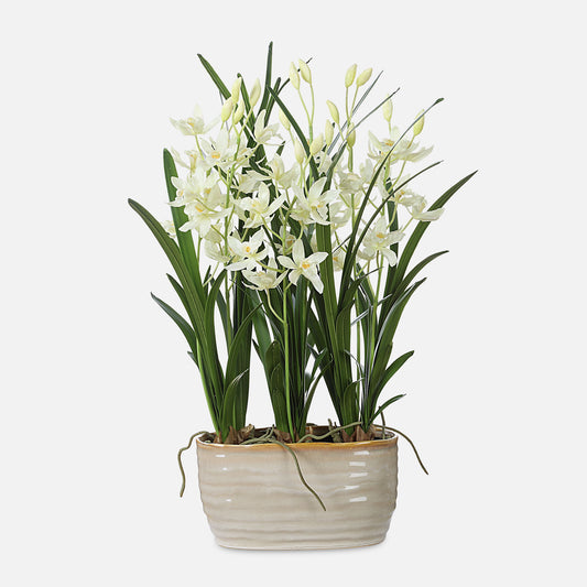 Ariana Orchid - Planter - Gray