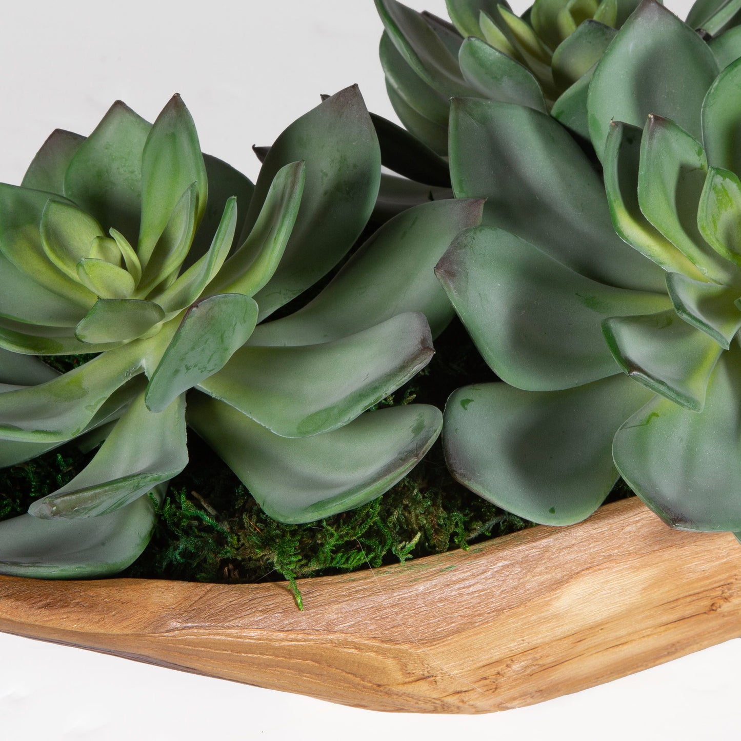 Yuma - Succulent Centerpiece - Dark Brown