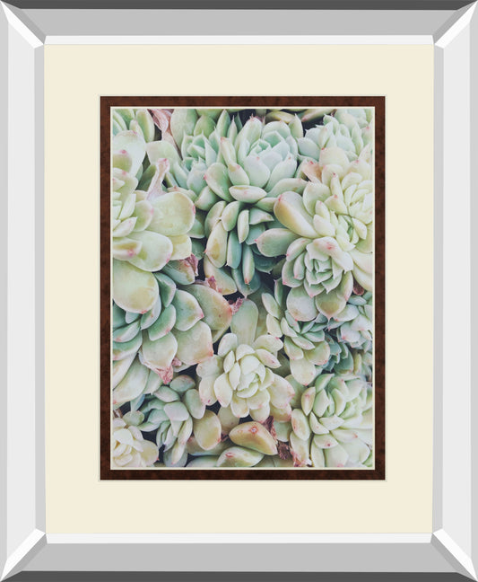 Translucent Succulents By Chelsea Kedron Mirrored Frame - Green