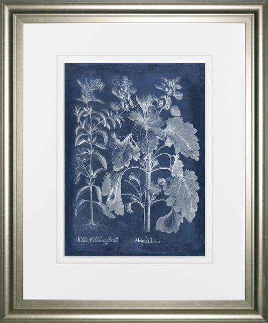 34x40 Besler Leaves in Indigo I By Vision Studio - Blue