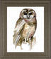 22x26 Watercolor Owl II By Jennifer Paxton Parker - Dark Gray