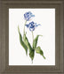 22x26 Blue Lively Botanical II By Sally Swatland - Blue