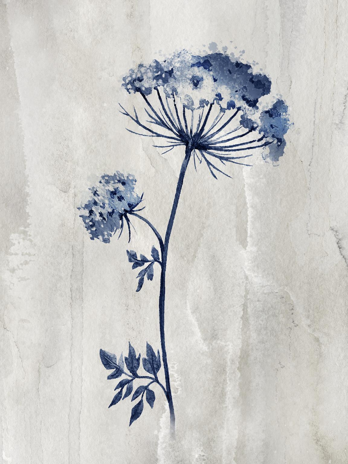 Framed - Indigo Botanical I By Conrad Knutsen - Blue