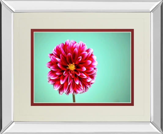 Zenia By Gail Peck - Mirror Framed Print Wall Art - Pink