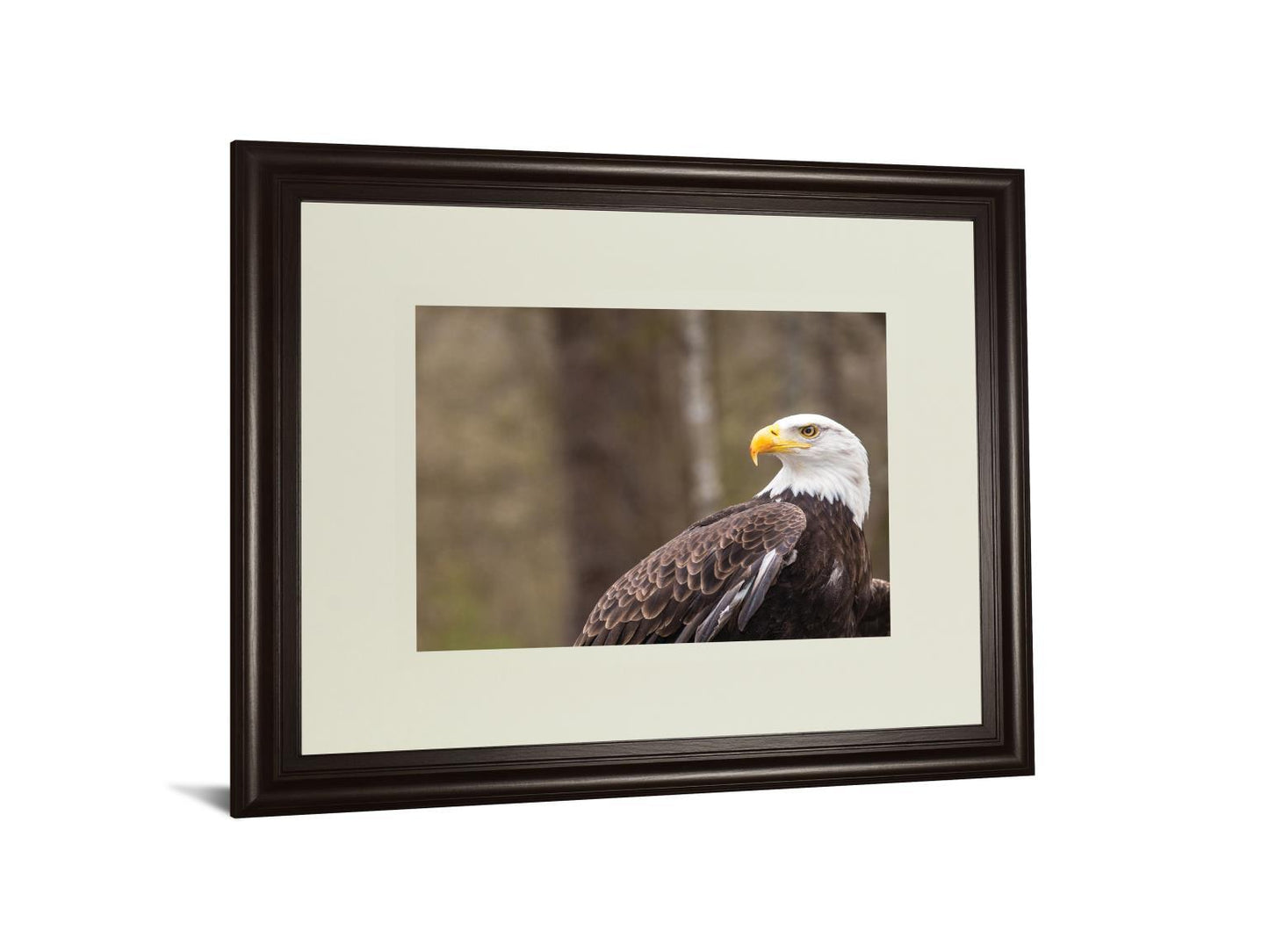 Majestic Eagle By Garytog Double Matted - Framed Print Wall Art - Dark Brown