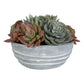 Peoria - Succulent Accent - Gray