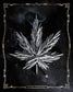 Carpe Cannabis By JG Studios (Framed) (Small) - Dark Gray