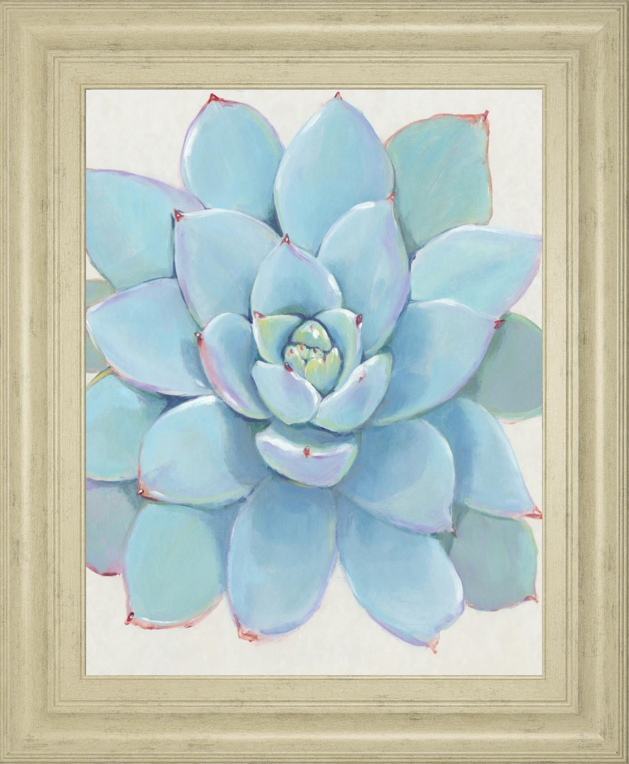 22x26 Pastel Succulent I By Tim OToole - Light Blue