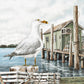 Majestic Seagull By James Harris (Framed) (Small) - Gray