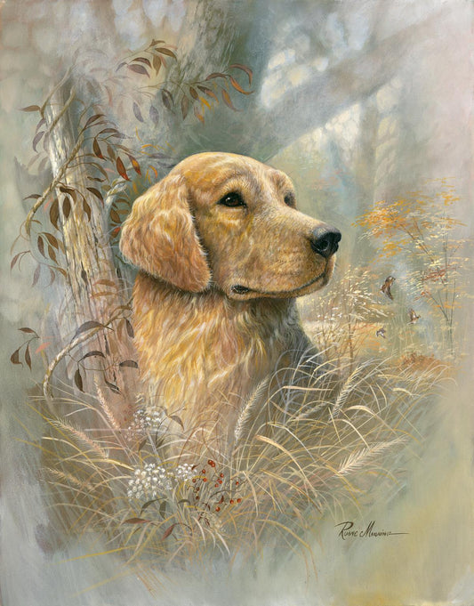 Framed Small - Golden Beauty By Ruane Manning - Light Brown