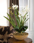 Moth Orchid - Planter - Green