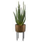 Arabia - Aloe Planter - Brown