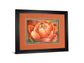 Red Lotus Il By Patricia Pinto - Framed Print Wall Art - Red