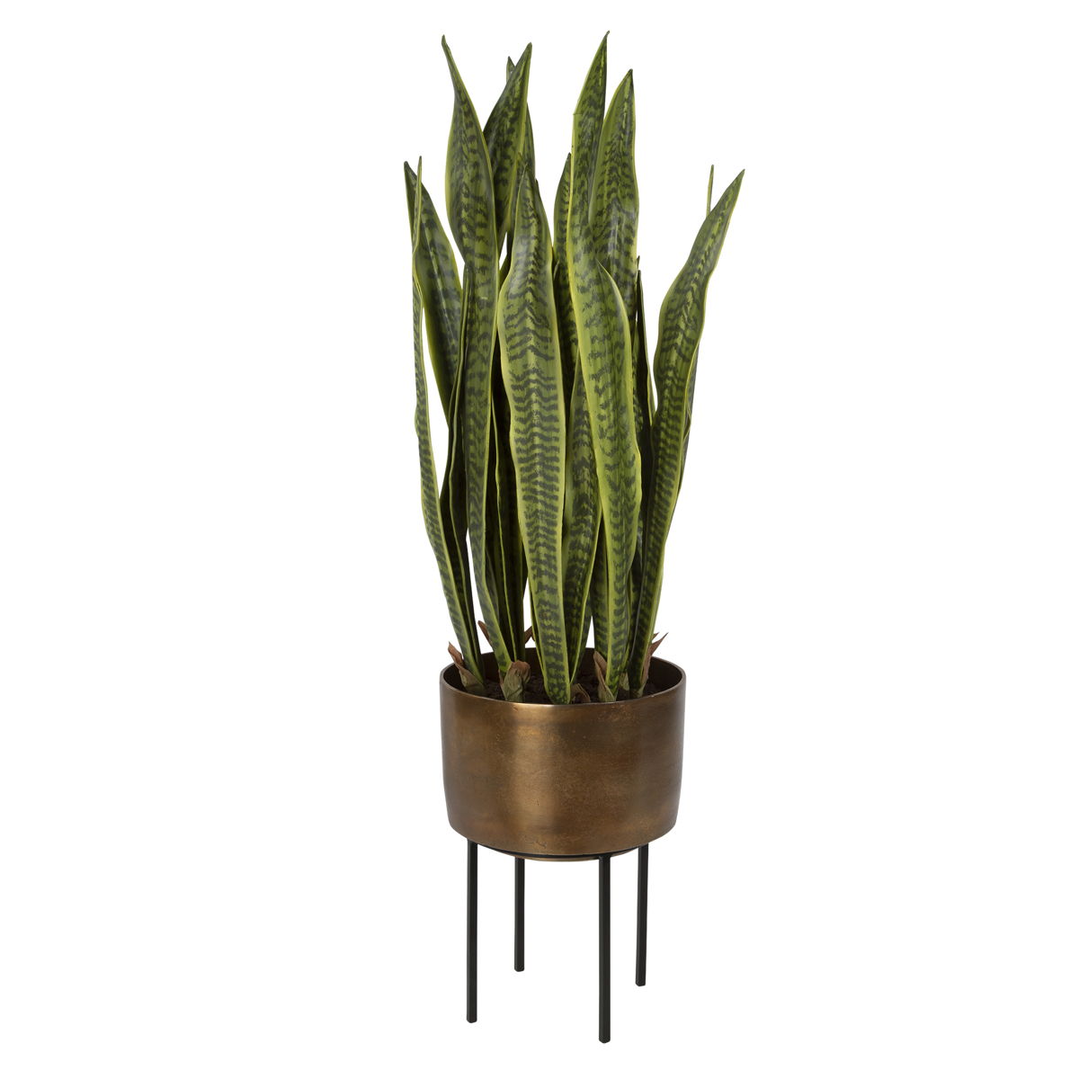 Fasita - Brass Planter 2 Cartons - Green