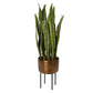 Fasita - Brass Planter 2 Cartons - Green