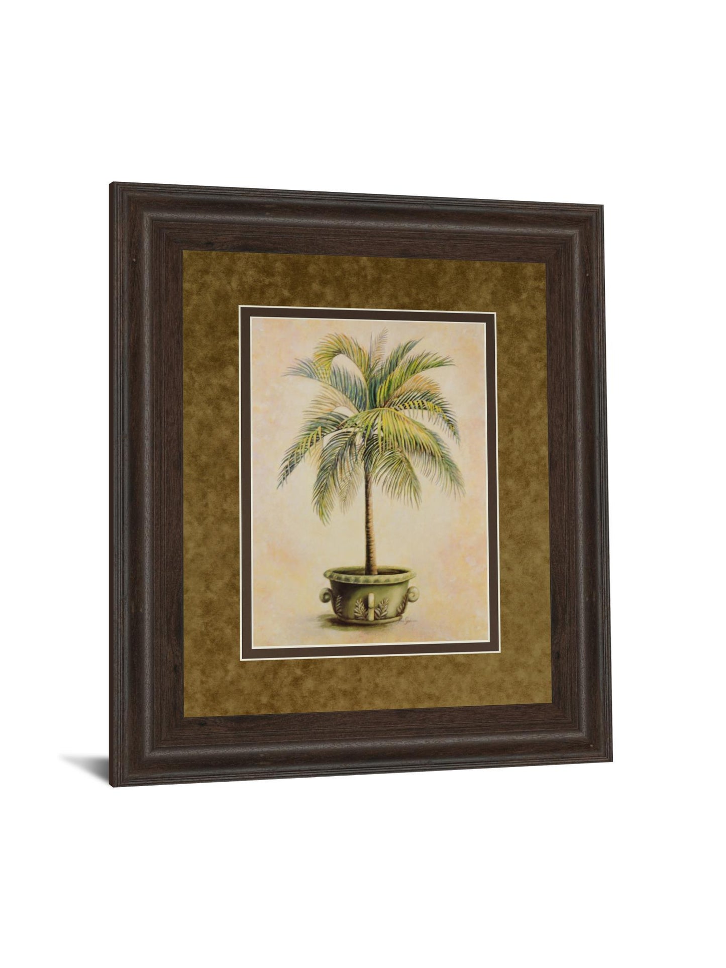 Potted Palm Il - Framed Print Wall Art - Green