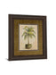 Potted Palm Il - Framed Print Wall Art - Green