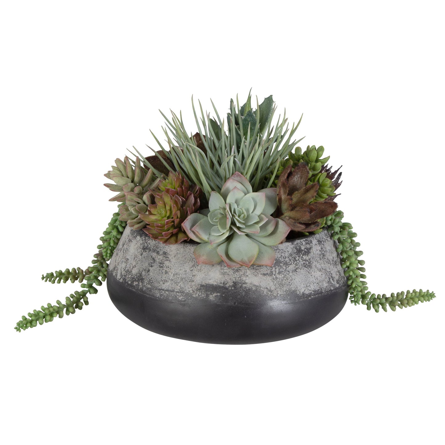 Yuma - Succulent Centerpiece - Gray