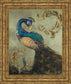 22x26 Peacock On Sage Il By Tiffany Hakimipour - Framed Print Wall Art - Blue